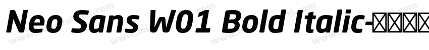 Neo Sans W01 Bold Italic字体转换